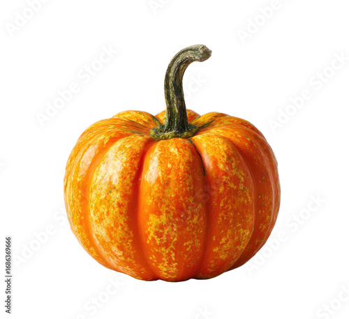 Close-up of a small, round pumpkin.  Its orange skin has subtle, irregular, light orange speckles and streaks.  A dark stem extends upward