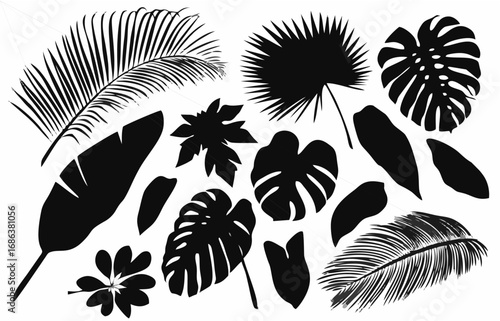 alm Leaf Silhouette - Tropica...