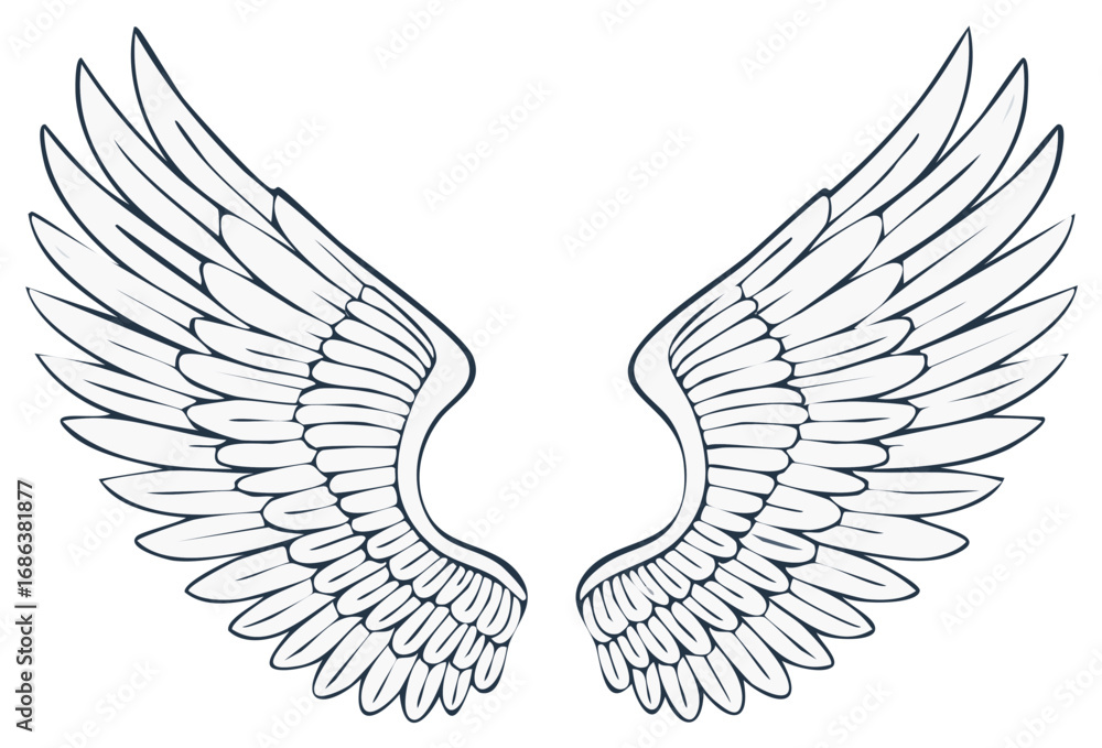 Obraz premium Outline Drawing of Angel Wings Spread Open