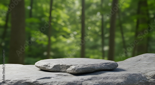 Gray stone platform in a lush forest setting. Level surface with natural rock formations for product display. Nature backdrop for eco-friendly product photography -