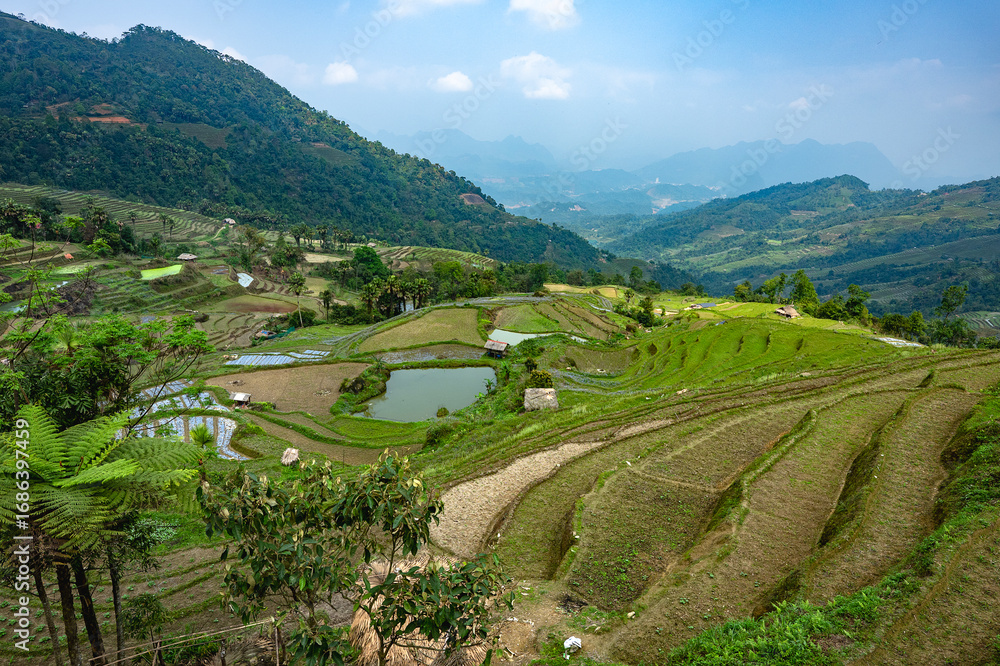 Fototapeta premium Irrigated Landscape rice terraced fields and blue cloudy sky in the mountains near Ha Giang in northern Vietnam