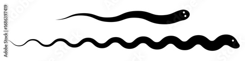 Two snakes with eyes, short and long. Flat vector illustration isolated on white background.