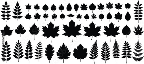 Black silhouette vector set of assorted leaf shapes including compound, lobed, and simple forms for botanical design and study use