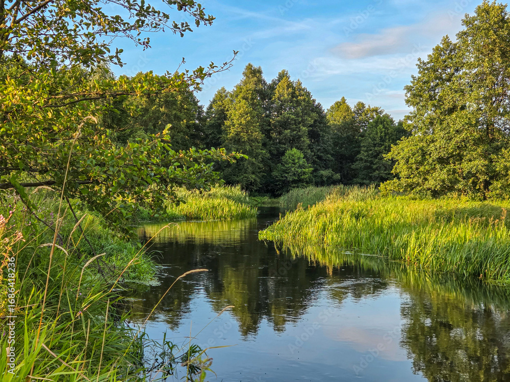 Fototapeta premium Natural landscapes in central Poland.