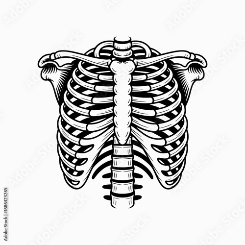 x ray of human spine