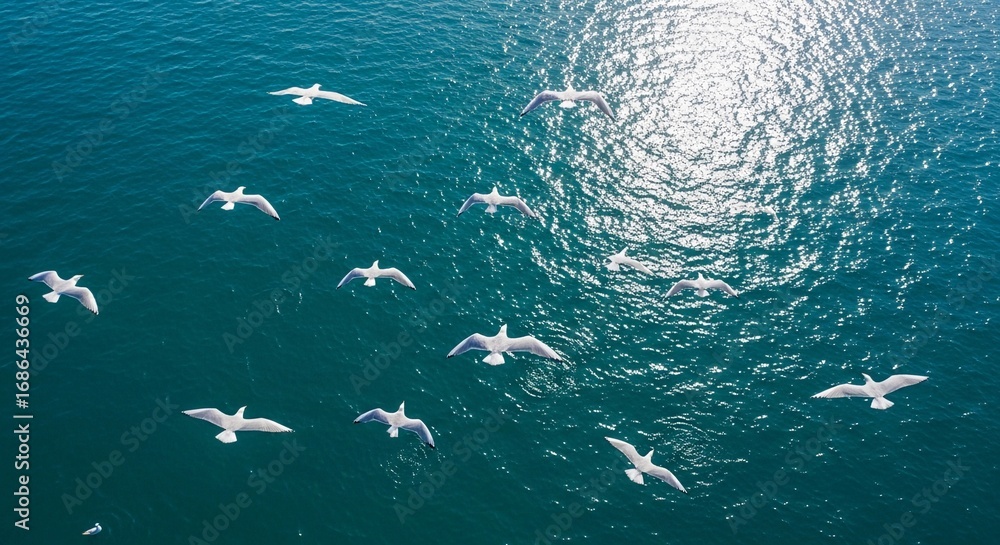 Obraz premium Seagulls Flying Over Turquoise Ocean Aerial View Birds Nature Scene Sunlight
