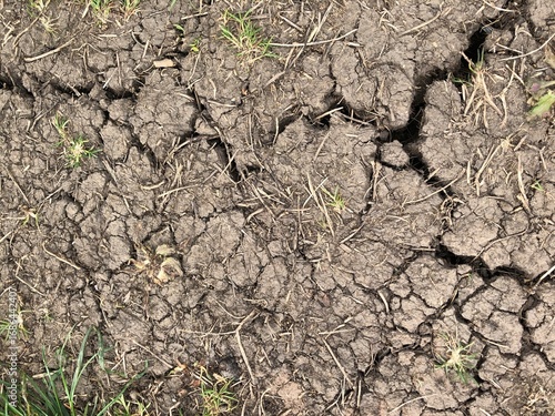 Bilde på lerret Cracks in soil due to severe drought conditions in 2025 in North Yorkshire, Engl