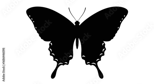 butterfly, insect, wings, nature, animal, flight, moth, garden, pollinator, species, beauty, fauna, wildlife, biology, delicate, creature, evolution, ecology, life, symmetry, pattern, decoration, symb