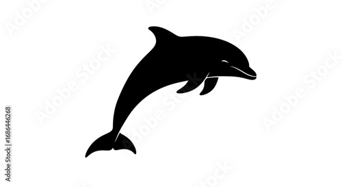 dolphin, silhouette, vector, icon, marine, ocean, sea, aquatic, mammal, wildlife, design, illustration, nature, swimming, water, animal, fin, tail, jump, biology, habitat, ecology, species, fauna, tro