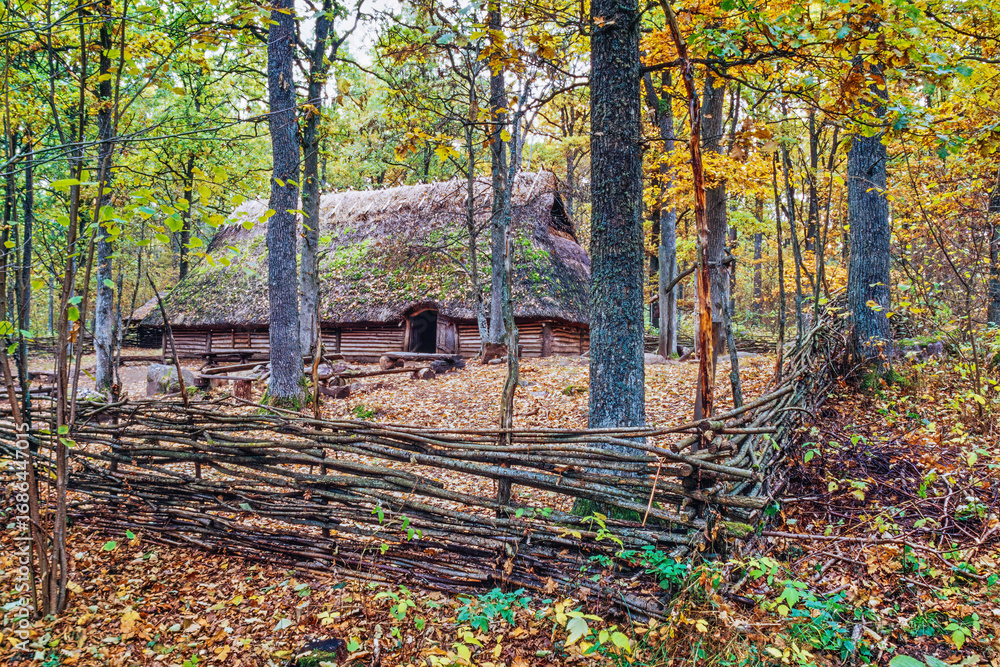 Fototapeta premium Fence of branches around a longhouse in a tree grove in autumn