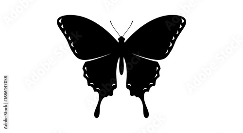 butterfly, insect, wings, nature, animal, flight, moth, garden, pollinator, species, beauty, fauna, wildlife, biology, delicate, creature, evolution, ecology, life, symmetry, pattern, decoration, symb