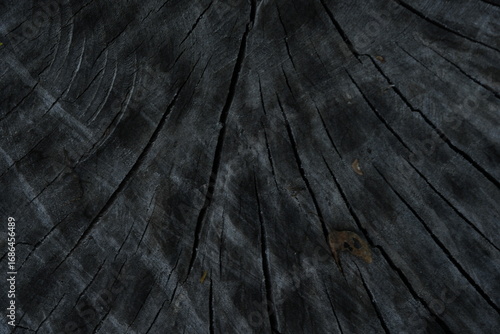 dark grey wood flooring abstract as background, old gray wood texture close up as a background