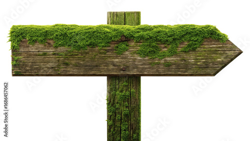 Mossy wooden sign isolated on transparent background