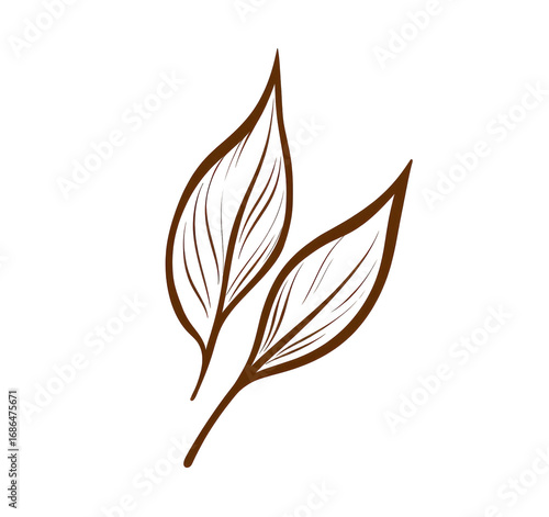 Two stylized, brown leaves overlapping, intricate vein details