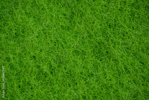 Wallpaper Mural  light green dishwashing sponge texture close-up macro texture of a green dishwashing sponge. porous and fibrous surface structure used for cleaning dishes and kitchen surfaces. vibrant green color Torontodigital.ca