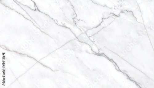 Light Grey Honed Marble Slab Texture with Veins