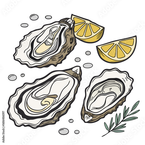 Fresh Oysters on Ice Vector Illustration – Elegant Seafood Clipart. Perfect for: fine dining branding, seafood menus, culinary posters
