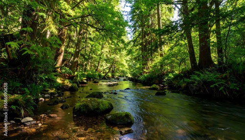 Lush forest stream (4)