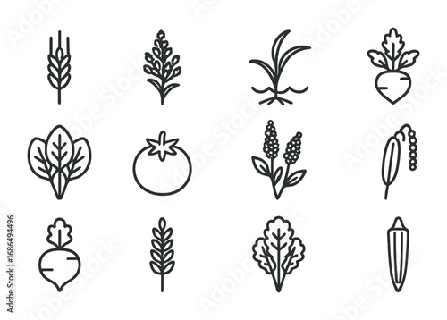 Salt-Tolerant Crops Icons. Outline icon set of Salt-tolerant crops: barley, quinoa, mangrove rice, sugar beet,