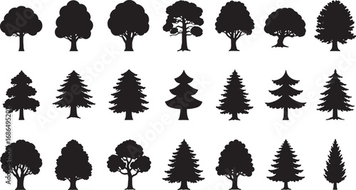 Set of pine trees silhouette. Hand drawn silhouette of fir tree. Large collection of Christmas tree silhouette. Vector illustration