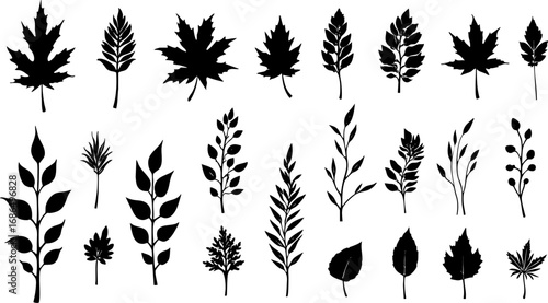 Set of Stylized Black and White Leaf Silhouettes