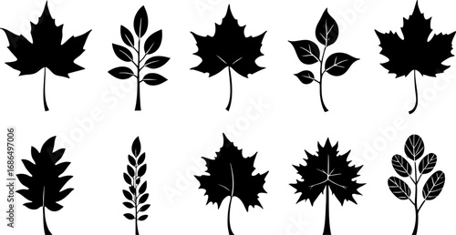 Set of Stylized Black and White Leaf Silhouettes