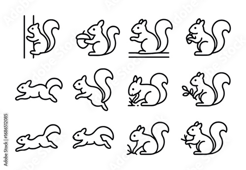 Squirrel Activity Icons. Outline icon set of squirrel activities: climbing tree, gathering acorn, sitting on