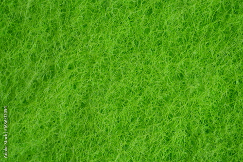 Wallpaper Mural green dishwashing sponge texture close-up  macro texture of a green dishwashing sponge. porous and fibrous surface structure used for cleaning dishes and kitchen surfaces. vibrant green color. ideal f Torontodigital.ca