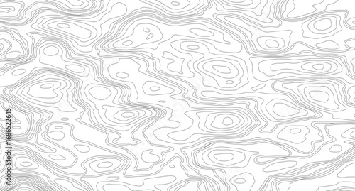 Topographic contour map. similarcartography illustration.  Abstract outline grid, vector illustration. Topography and geography map grid abstract backdrop.