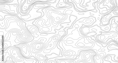 Topographic contour map. similarcartography illustration.  Topography and geography map grid abstract backdrop. Business concept. Fish Fillet Texture.