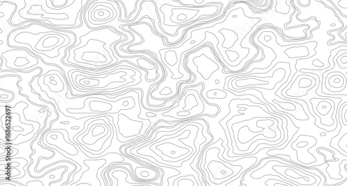 Topographic contour map. similarcartography illustration.  Topography and geography map grid abstract backdrop. Business concept. Fish Fillet Texture.