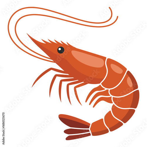 shrimp on white background