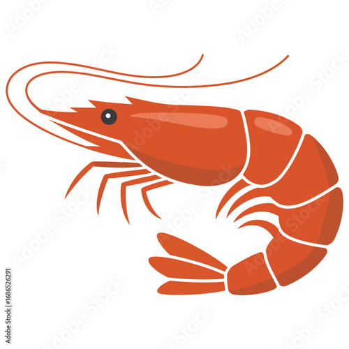 shrimp on white background