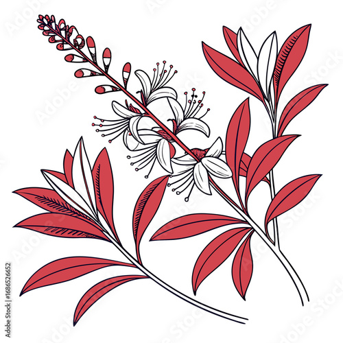 hebe red hugh on white background 