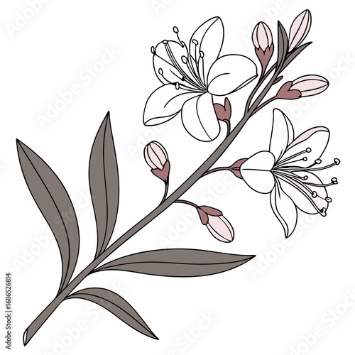 branch with hebe delicate flower 