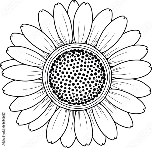 Simple line drawing of a daisy flower head with delicate petals and detailed center