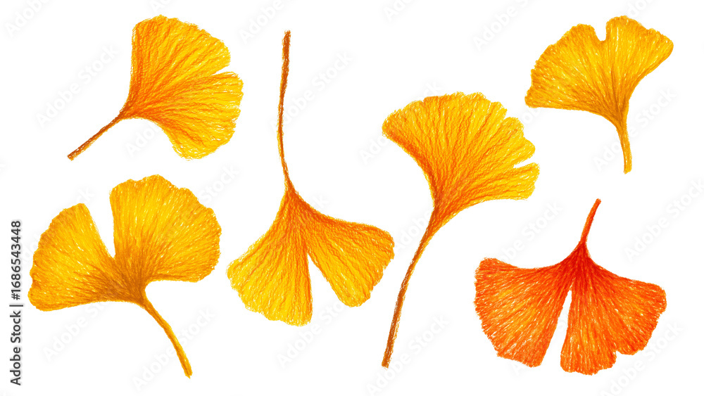 Obraz premium 手書きイラスト風のイチョウの葉素材01