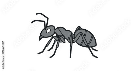 Ant illustration on white background.