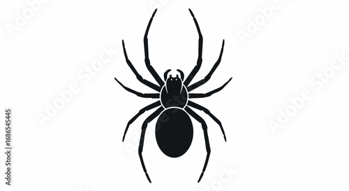 Black Spider Silhouette on White Background.