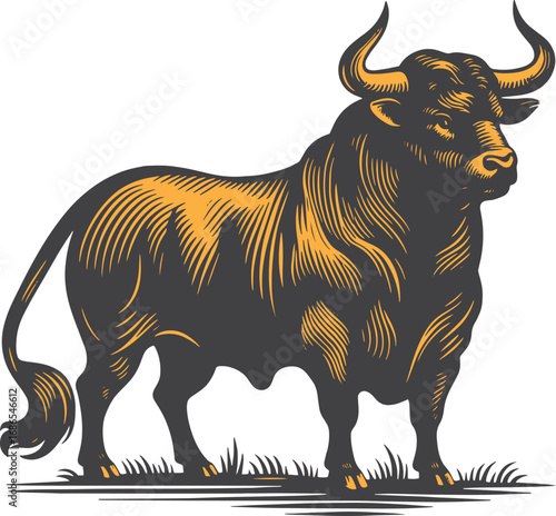 Bulls Sketch and Silhouette illustration.