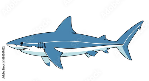 Blue Shark Swimming in Ocean Waters.