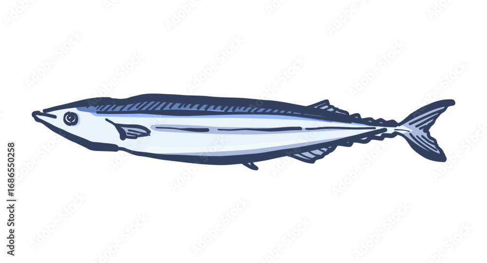 Obraz premium 筆で描いた秋刀魚の絵。秋の味覚、サンマのイラスト。新鮮な魚、さんま。A brush-drawn picture of a Pacific saury. An illustration of the autumn delicacy, Pacific saury. Fresh fish, Pacific saury.