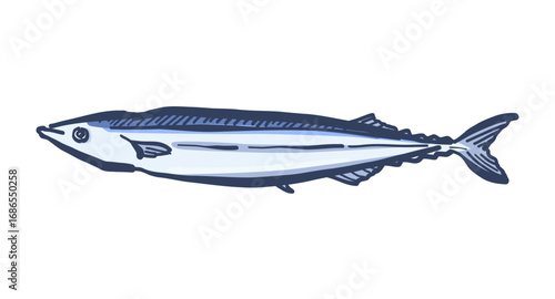 筆で描いた秋刀魚の絵。秋の味覚、サンマのイラスト。新鮮な魚、さんま。A brush-drawn picture of a Pacific saury. An illustration of the autumn delicacy, Pacific saury. Fresh fish, Pacific saury.