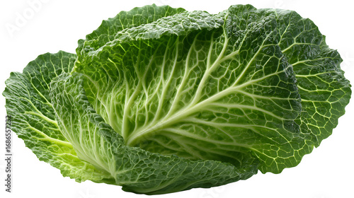 HD realistic cabbage leaf isolated on white png