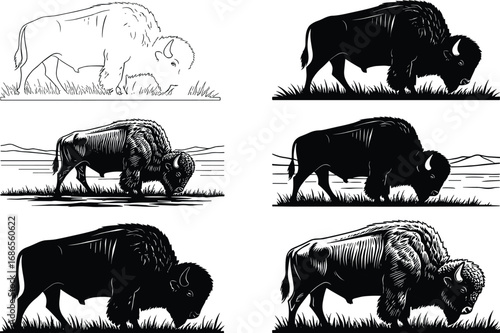 American bison illustration set, mixed styles and poses, grazing and standing on terrain, wildlife vector for anatomy and design reference
