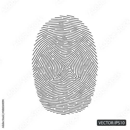 Fingerprint identification for security and personal recognition.