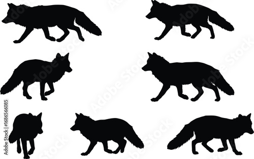 Fox silhouette collection, walking poses, animal shape, black vector, nature icon, wildlife outline, bushy tail, side profile, posture study
