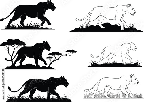 Panther leopard illustration set, silhouette and line art poses, walking in nature scenes, animal vector for anatomy and design reference