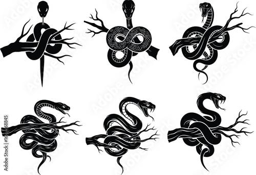Snake illustration set, coiled around tree branches, stylized and realistic poses, vector for nature, mythology, anatomy, and design reference