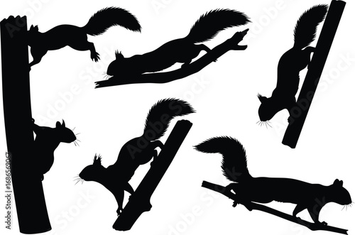 Squirrel silhouette collection, dynamic poses, tree movement, black vector, nature icon, wildlife shape, bushy tail, posture study, forest theme